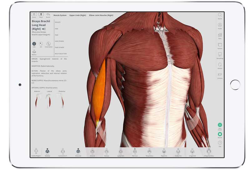 Aplikacja Complete anatomy, Apple Design Awards 